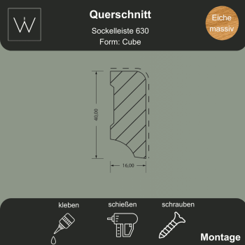 Querschnitt Eichenholz Sockelleiste 630